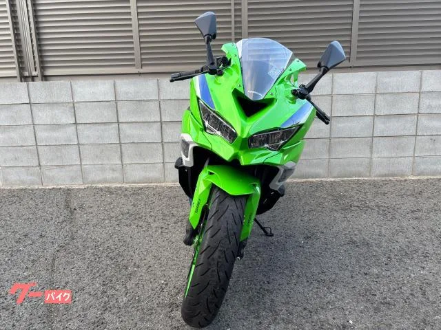 Kawasaki Ninja ZX-4RR 40th anniversary edition 2024 — миниатюра 3