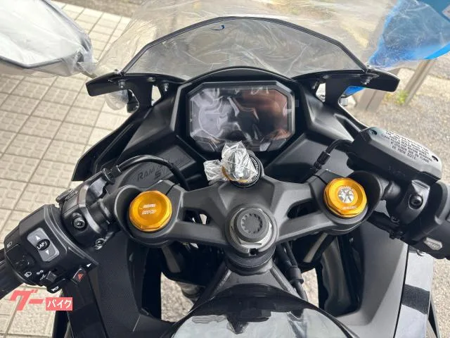 Kawasaki Ninja ZX-25R SE x 2026 — миниатюра 5