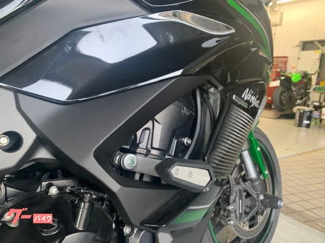 Kawasaki Ninja 1000 SX E A ETC2.0 2023 — миниатюра 4