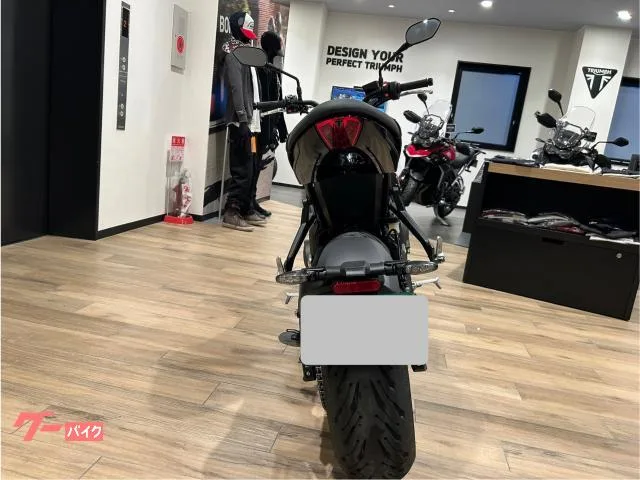 TRIUMPH 660 2025 — миниатюра 4