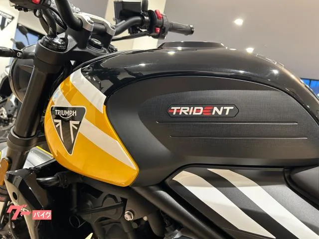TRIUMPH 660 2025 — миниатюра 5