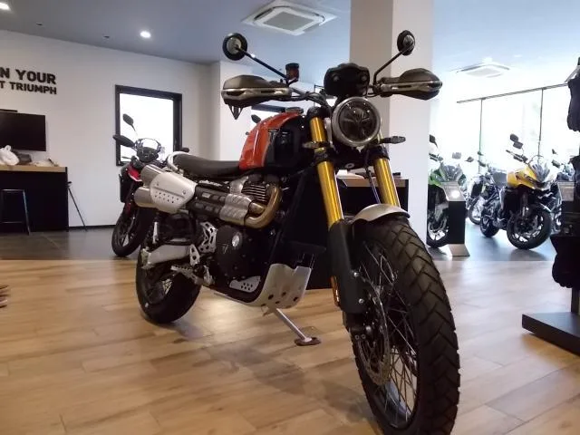 TRIUMPH 1200XE 2024 — миниатюра 2
