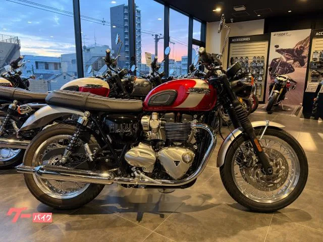 TRIUMPH T120 2025 — фото 1, купить с доставкой в Москву