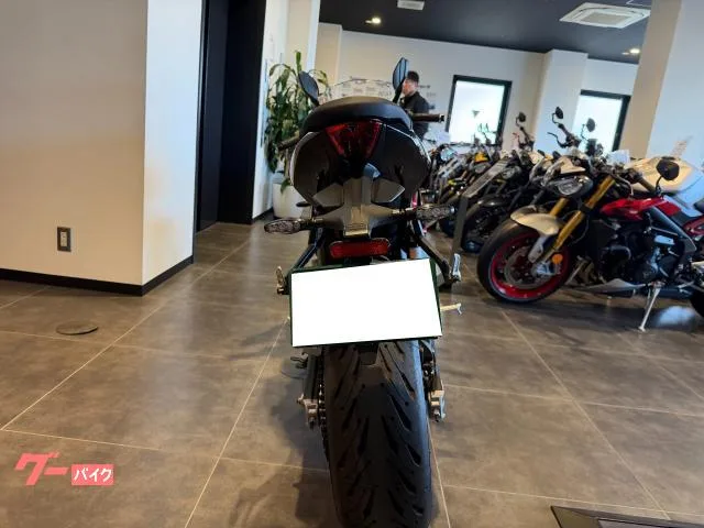 TRIUMPH 660 2024 — миниатюра 4