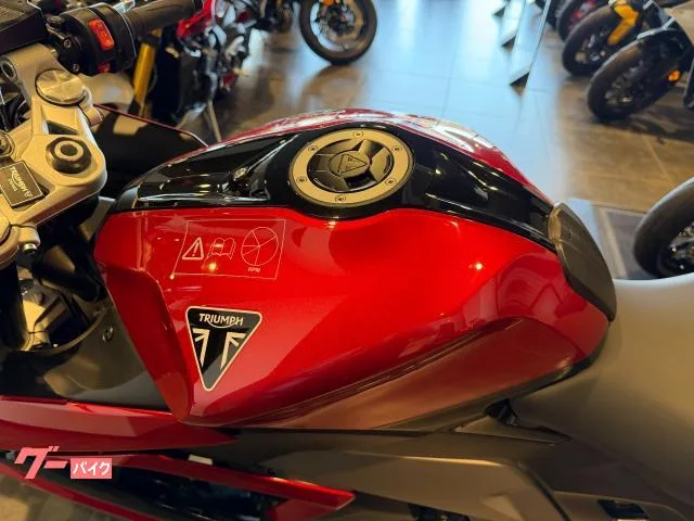TRIUMPH 660 2024 — миниатюра 5