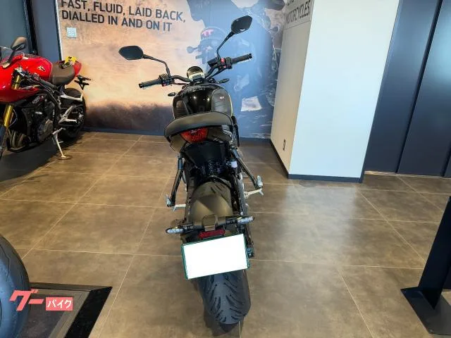 TRIUMPH 660 2025 — миниатюра 4