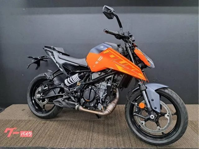 KTM 250 2024 — фото 1, купить с доставкой в Москву