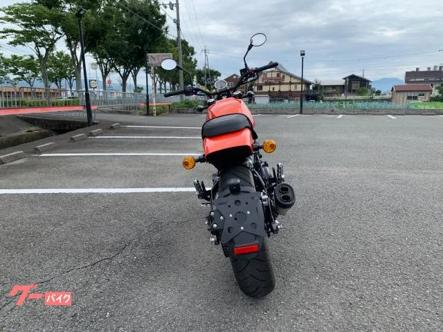 HARLEY-DAVIDSON X500 2024 — миниатюра 3
