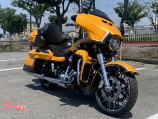 HARLEY-DAVIDSON CVO FLHXSE 2022 — фото 1, купить с доставкой в Москву