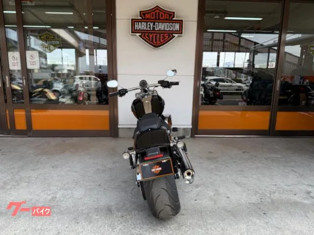 HARLEY-DAVIDSON FXBR 2025 — миниатюра 4