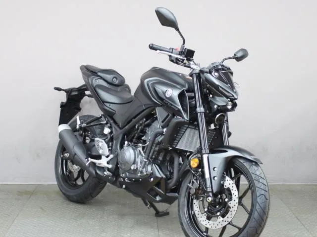 Yamaha MT-25 ABS 25 2025 — миниатюра 2