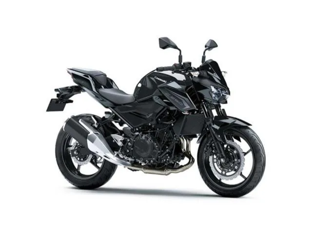 Kawasaki Z250 2026 — фото 1, купить с доставкой в Москву