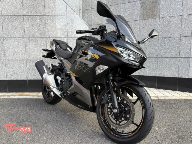 Kawasaki Ninja 400 ABS EX400G 2022 — миниатюра 2