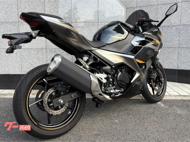 Kawasaki Ninja 400 ABS EX400G 2022 — миниатюра 5