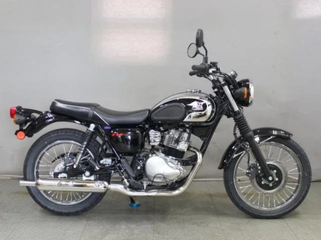 Kawasaki S1 2026 2026 — фото 1, купить с доставкой в Москву