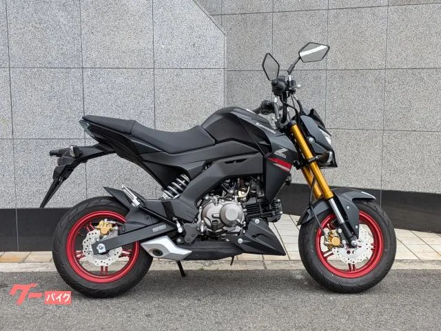 Kawasaki Z125 PROBR125H 2022 — фото 1, купить с доставкой в Москву