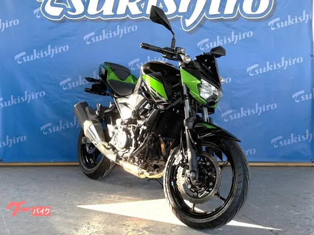 Kawasaki Z250 2023 — миниатюра 2