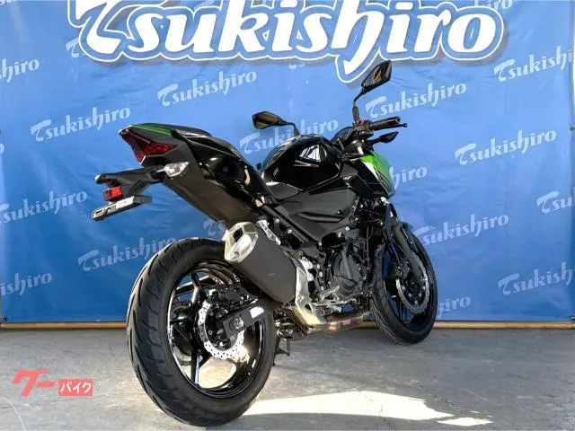 Kawasaki Z250 2023 — миниатюра 3