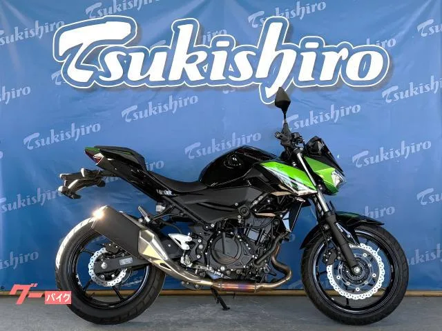 Kawasaki Z250 2023 — фото 1, купить с доставкой в Москву