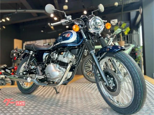 Kawasaki W230 MY2025 2025 — фото 1, купить с доставкой в Москву