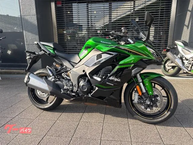 Kawasaki Ninja 1100 SX SE 2025 — миниатюра 2