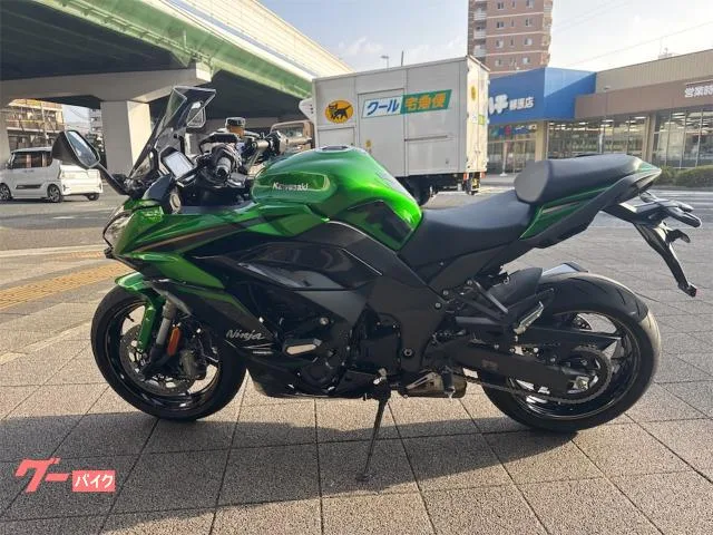 Kawasaki Ninja 1100 SX SE 2025 — миниатюра 3
