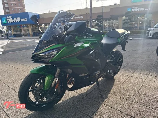 Kawasaki Ninja 1100 SX SE 2025 — миниатюра 5