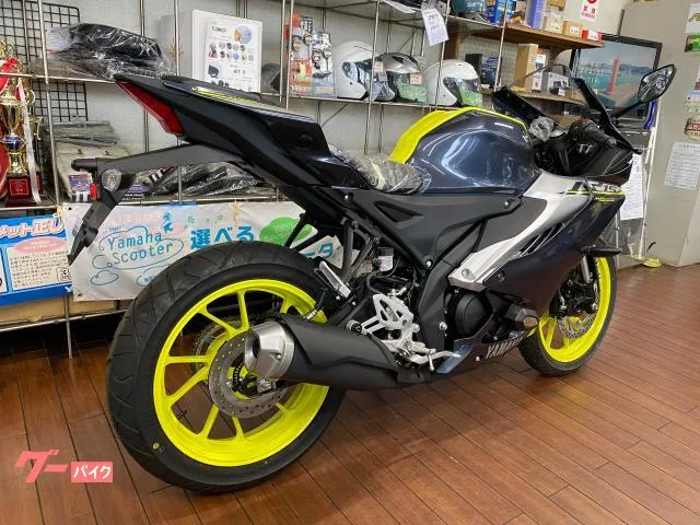 Yamaha YZF-R15 2023 — миниатюра 2