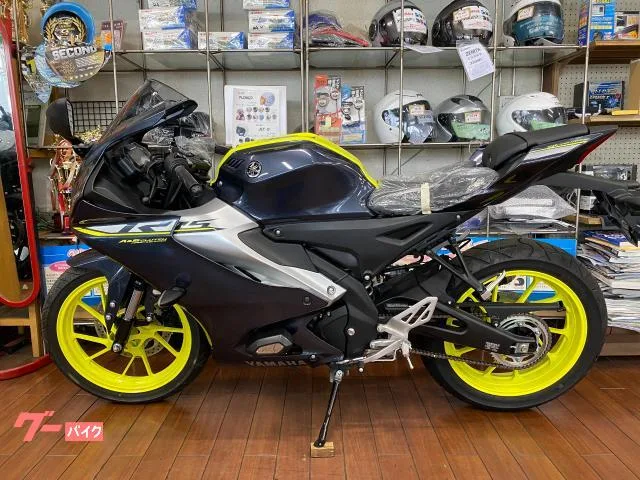 Yamaha YZF-R15 2023 — миниатюра 3