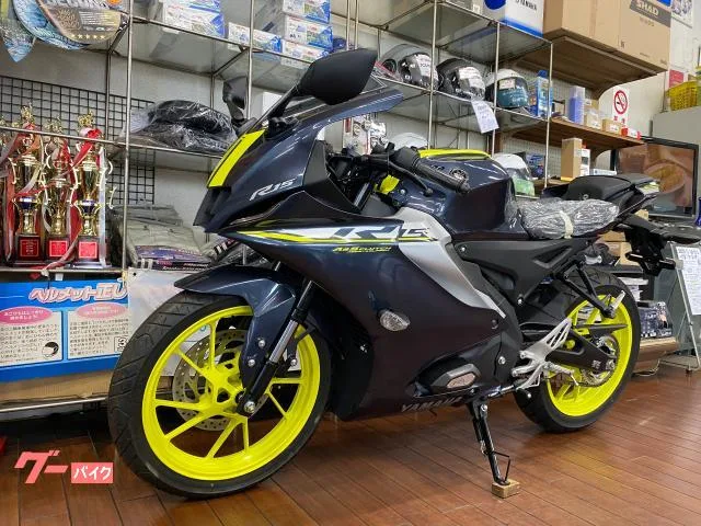 Yamaha YZF-R15 2023 — миниатюра 4