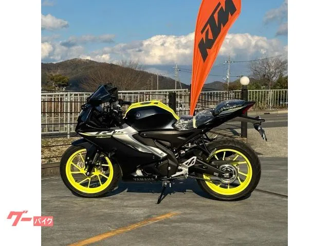 Yamaha YZF-R15 2024 2023 — миниатюра 2