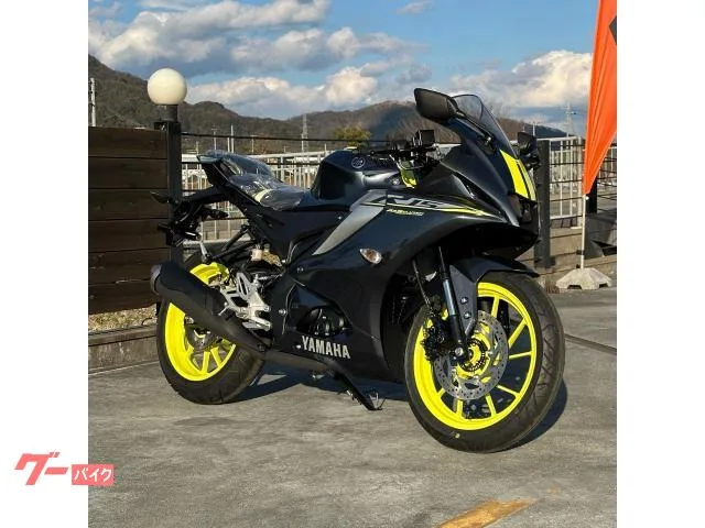 Yamaha YZF-R15 2024 2023 — фото 1, купить с доставкой в Москву