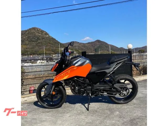 KTM 250 2024 2024 — миниатюра 2