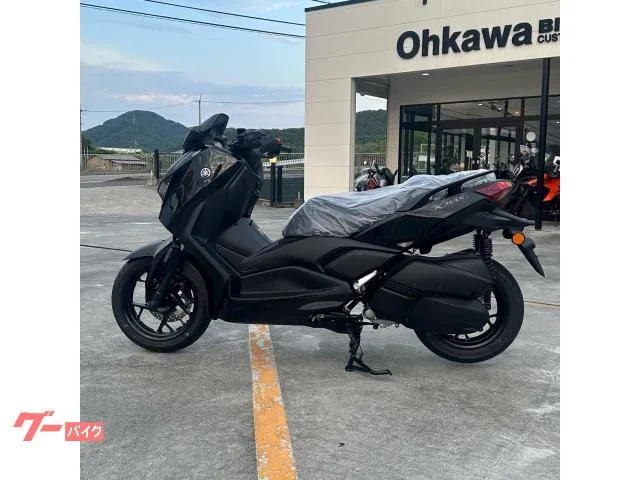 Yamaha X-MAX250 2024 2024 — миниатюра 2