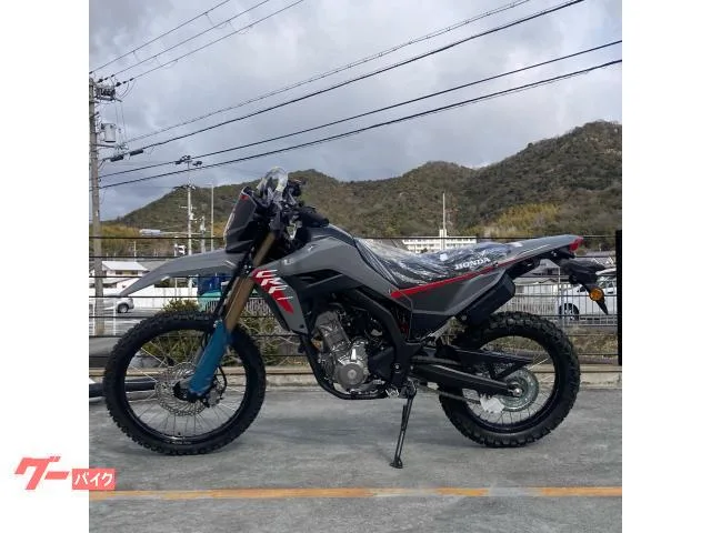 Honda CRF250L 2025 2025 — миниатюра 2