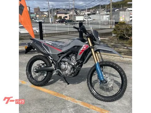 Honda CRF250L 2025 2025 купить в Москве