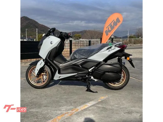 Yamaha X-MAX250 2025 2025 — миниатюра 2
