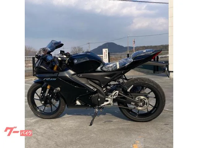 Yamaha YZF-R15 2026 2026 — миниатюра 2