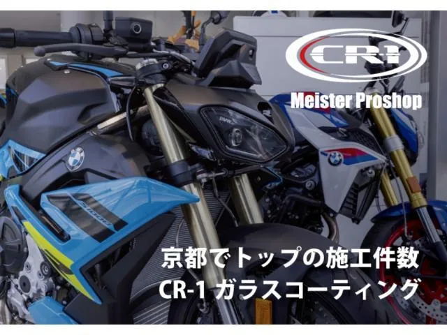 BMW R1300GS /MT 2025 — миниатюра 3