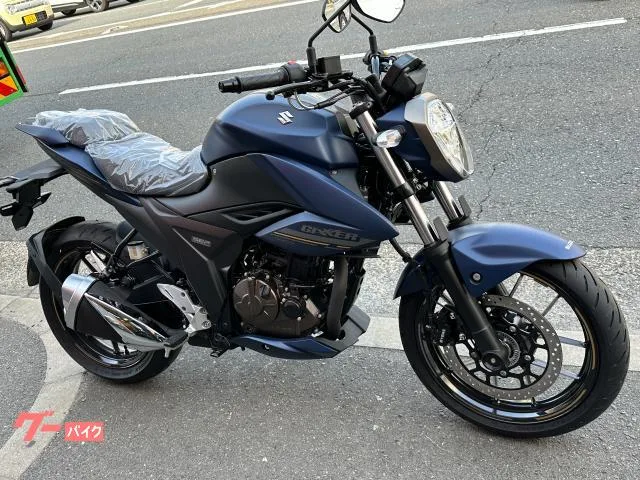 Suzuki GIXXER 250 M3 2023 — миниатюра 2