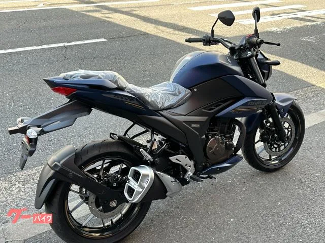 Suzuki GIXXER 250 M3 2023 — миниатюра 4