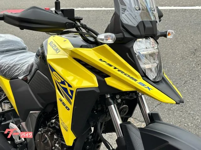 Suzuki V- 250SX M5 2025 — миниатюра 3