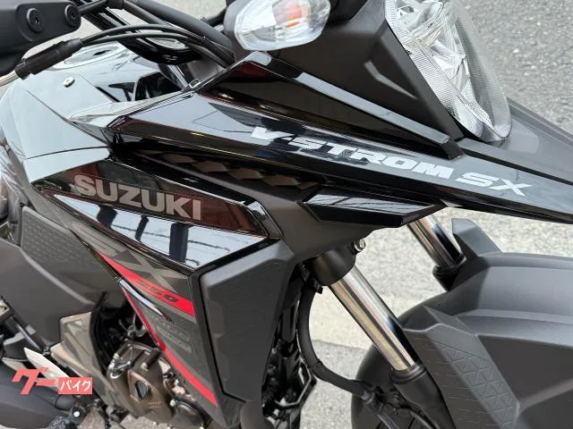 Suzuki V- 250SX 2026 2026 — миниатюра 3