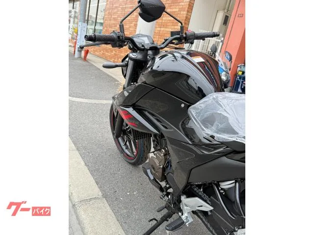 Suzuki GIXXER 250 M6 2025 — миниатюра 3