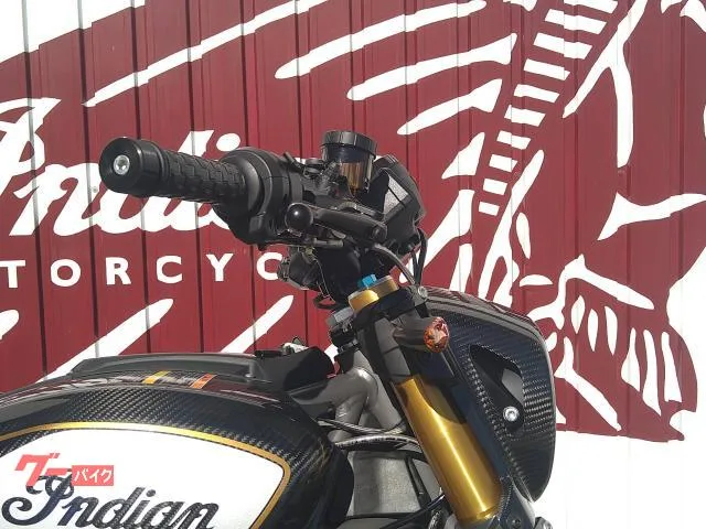 INDIAN FTR1200 R MY2024 2024 — миниатюра 2
