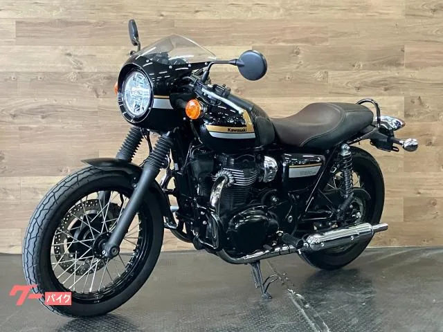 Kawasaki W800 ETC/ 2022 — миниатюра 2