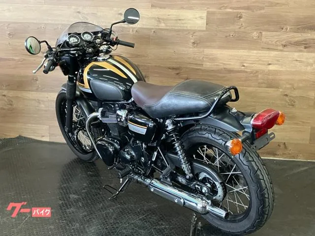 Kawasaki W800 ETC/ 2022 — миниатюра 3