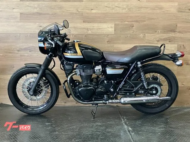 Kawasaki W800 ETC/ 2022 — миниатюра 4