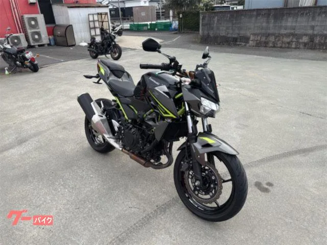 Kawasaki Z400 USB 2023 — миниатюра 2