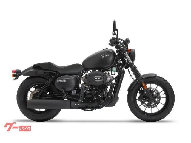 HYOSUNG GV250S- 2024 — миниатюра 5